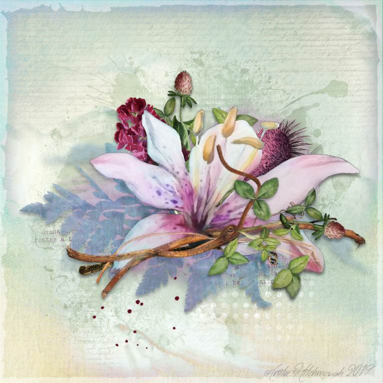Flora and Fauna by Lynne Anzelc Design